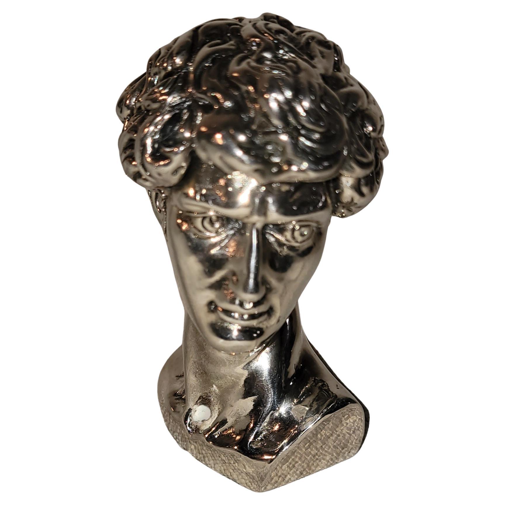 Sterling Silver Michelangelo Statue of David Bust For Sale