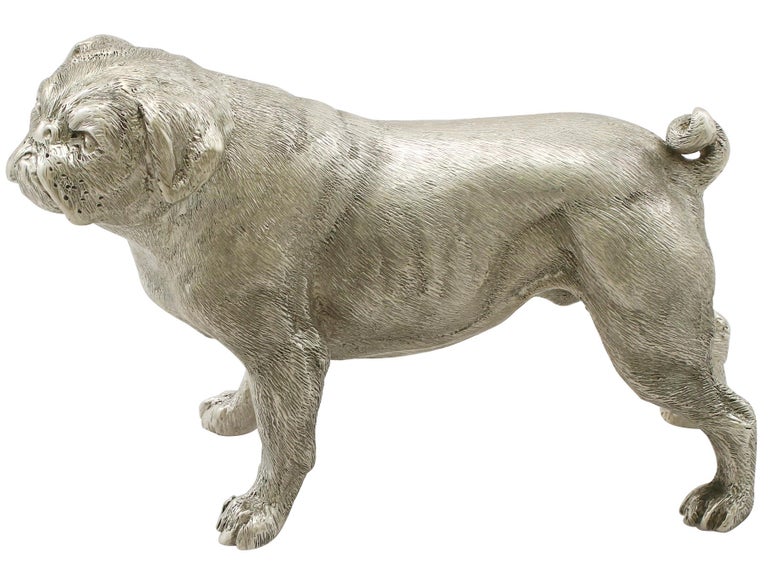 An exceptional, fine and impressive contemporary cast English sterling silver model of a pug; part of our animal related silverware collection.

This exceptional contemporary cast sterling silver ornament has been realistically modelled in the form