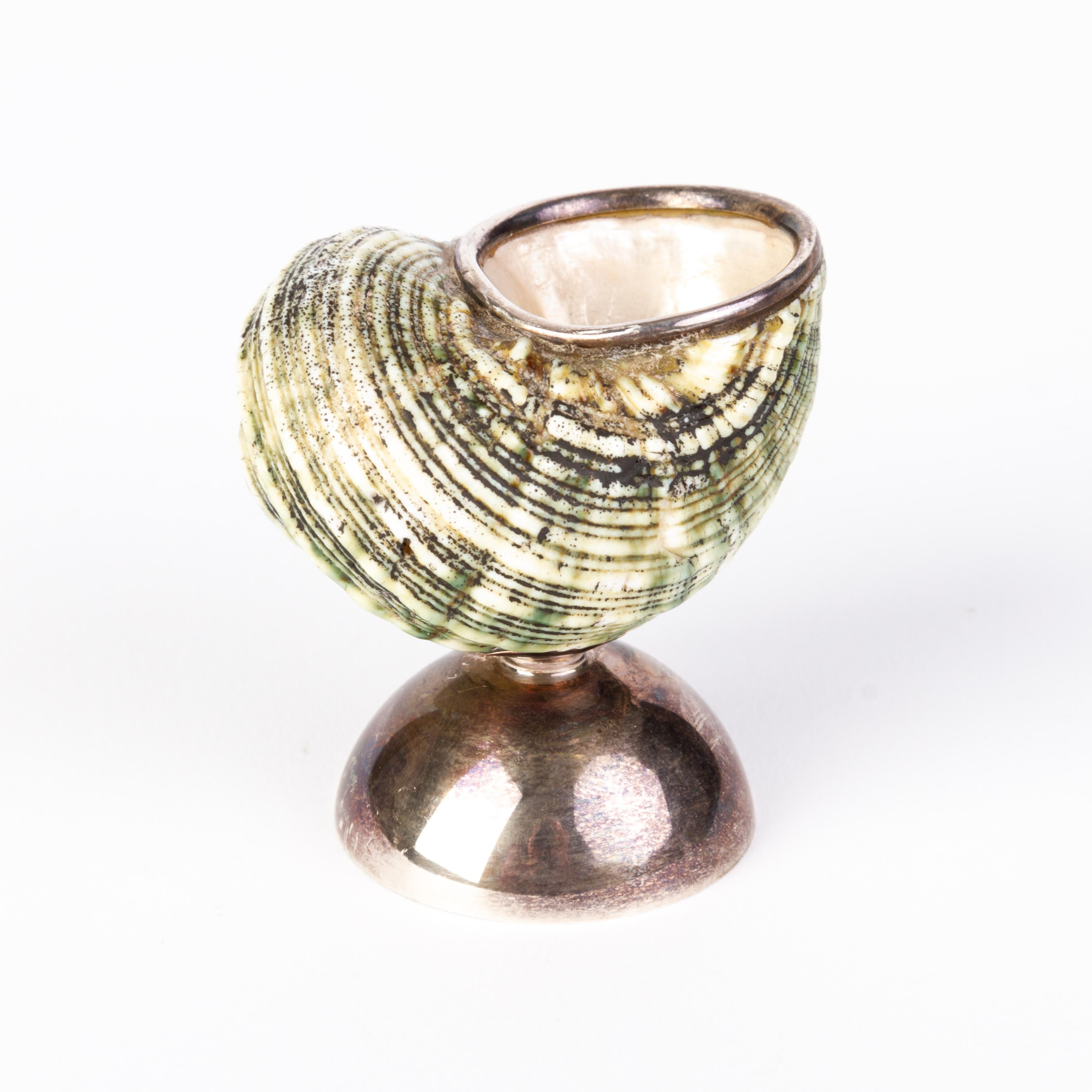 Sterling Silver Nautilus Shell Salt Cellar In Good Condition In Nottingham, GB