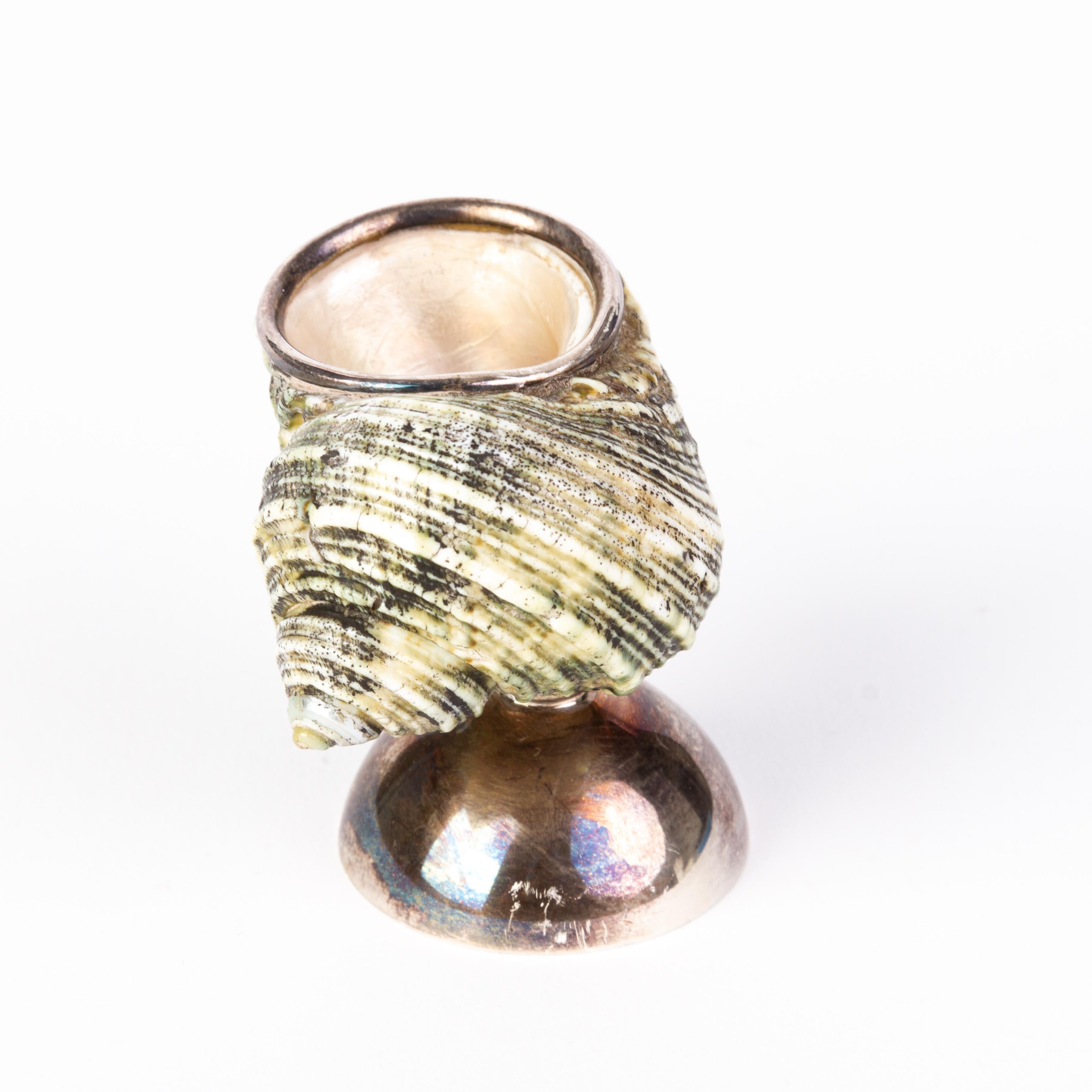 20th Century Sterling Silver Nautilus Shell Salt Cellar