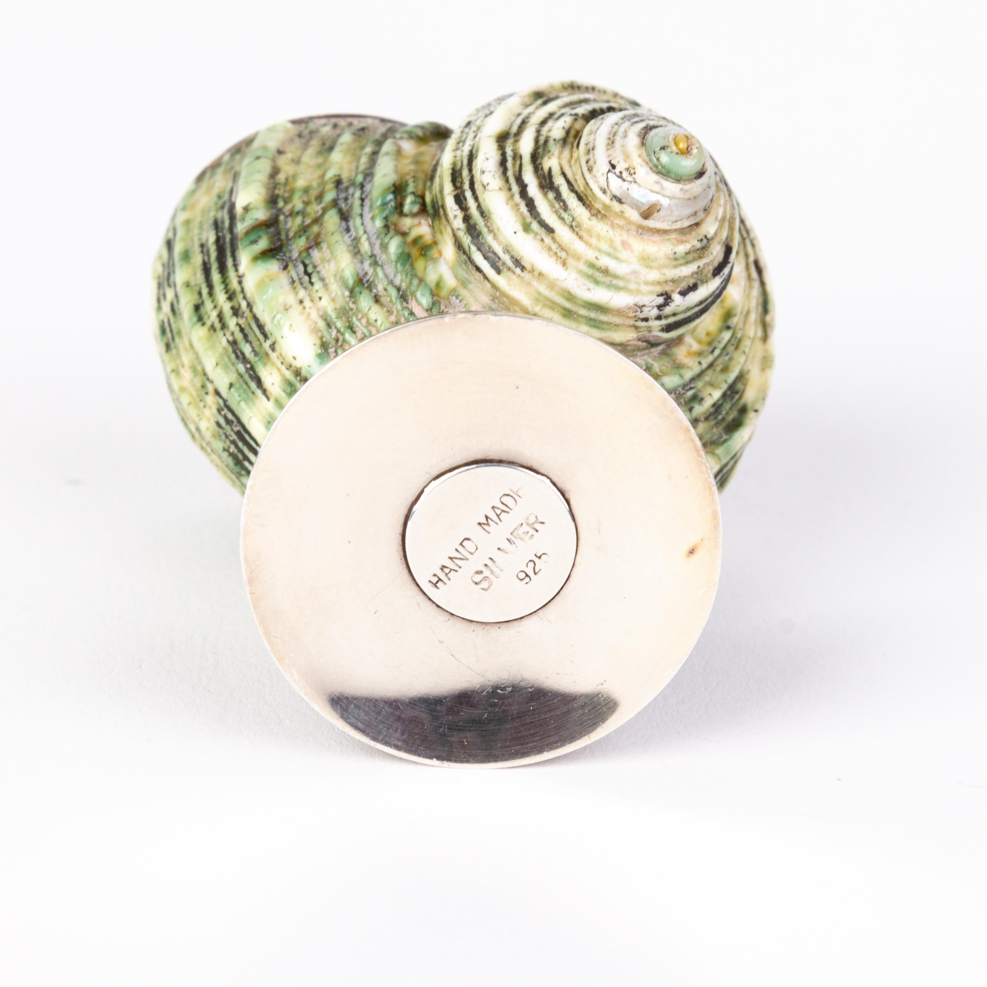 Sterling Silver Nautilus Shell Salt Cellar 1