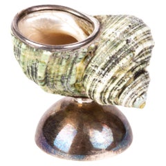 Sterling Silver Nautilus Shell Salt Cellar 