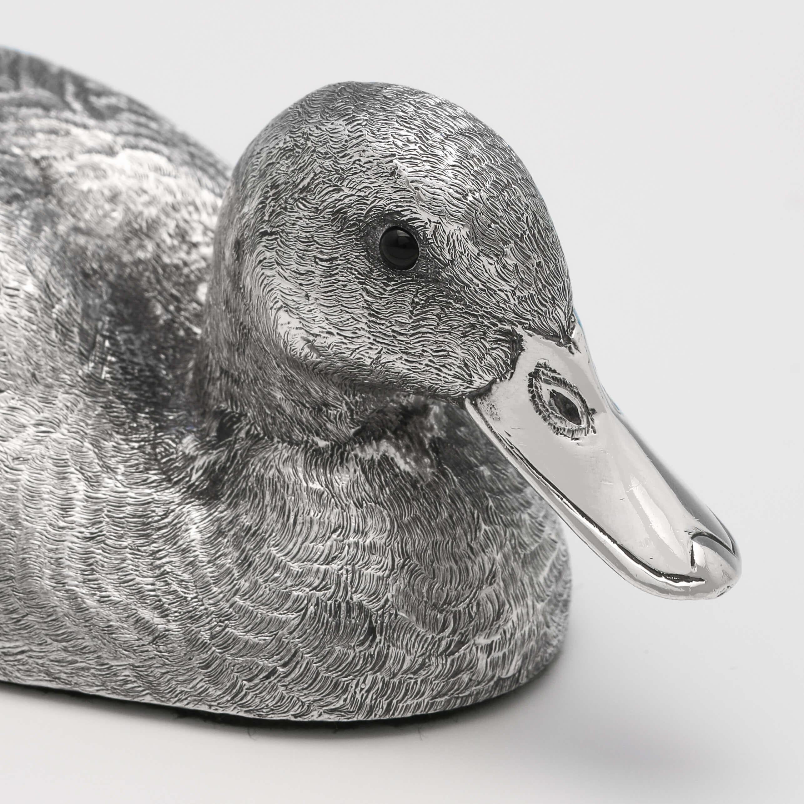 silver mallard duck