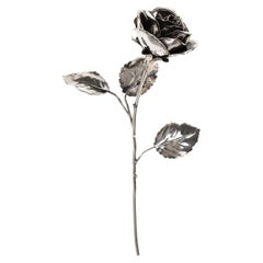 A Silver Rose