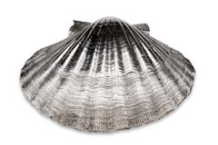 Sterling Silver Scallop Dish