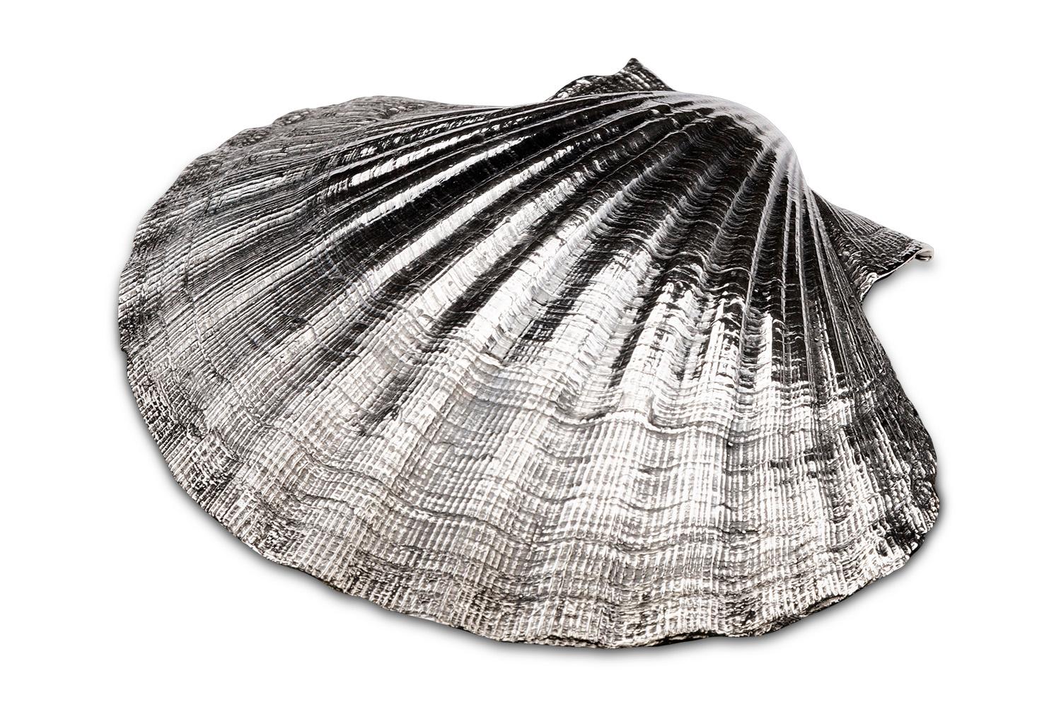 Mana Made Sterling Silver Scallop main image 0