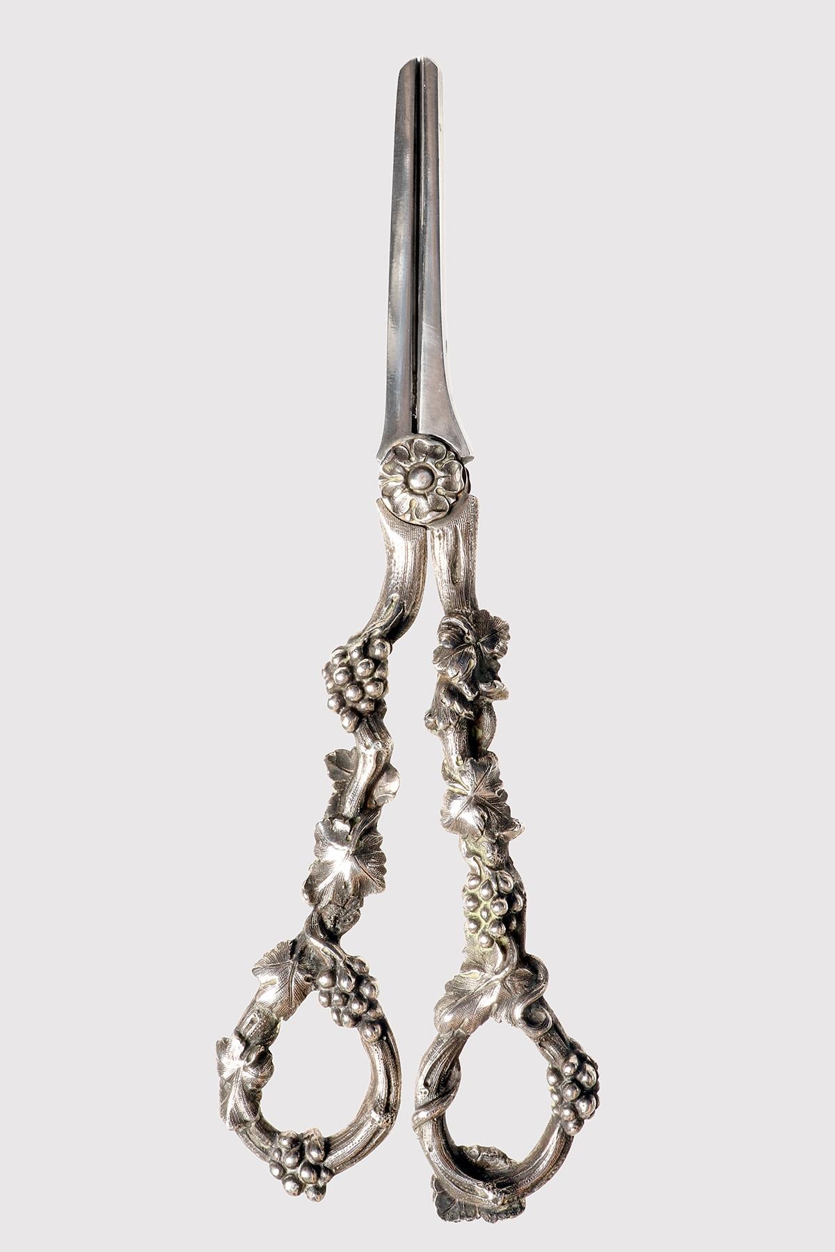 Scissors to cut the stems of the bunches of grapes presented on the table at dessert time.
Made of silver, short and quite thick blades, suitable for cutting off the stems of the bunches, with a decoration of vegetable inspiration, branches knotted