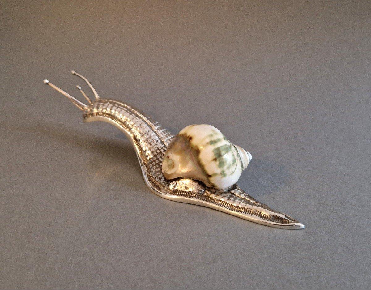 Caracol de plata de ley y concha 2
