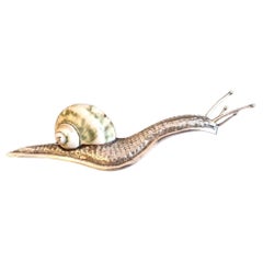 Caracol de plata de ley y concha