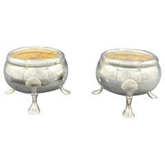 Sterling Silver ( Silver Salts )