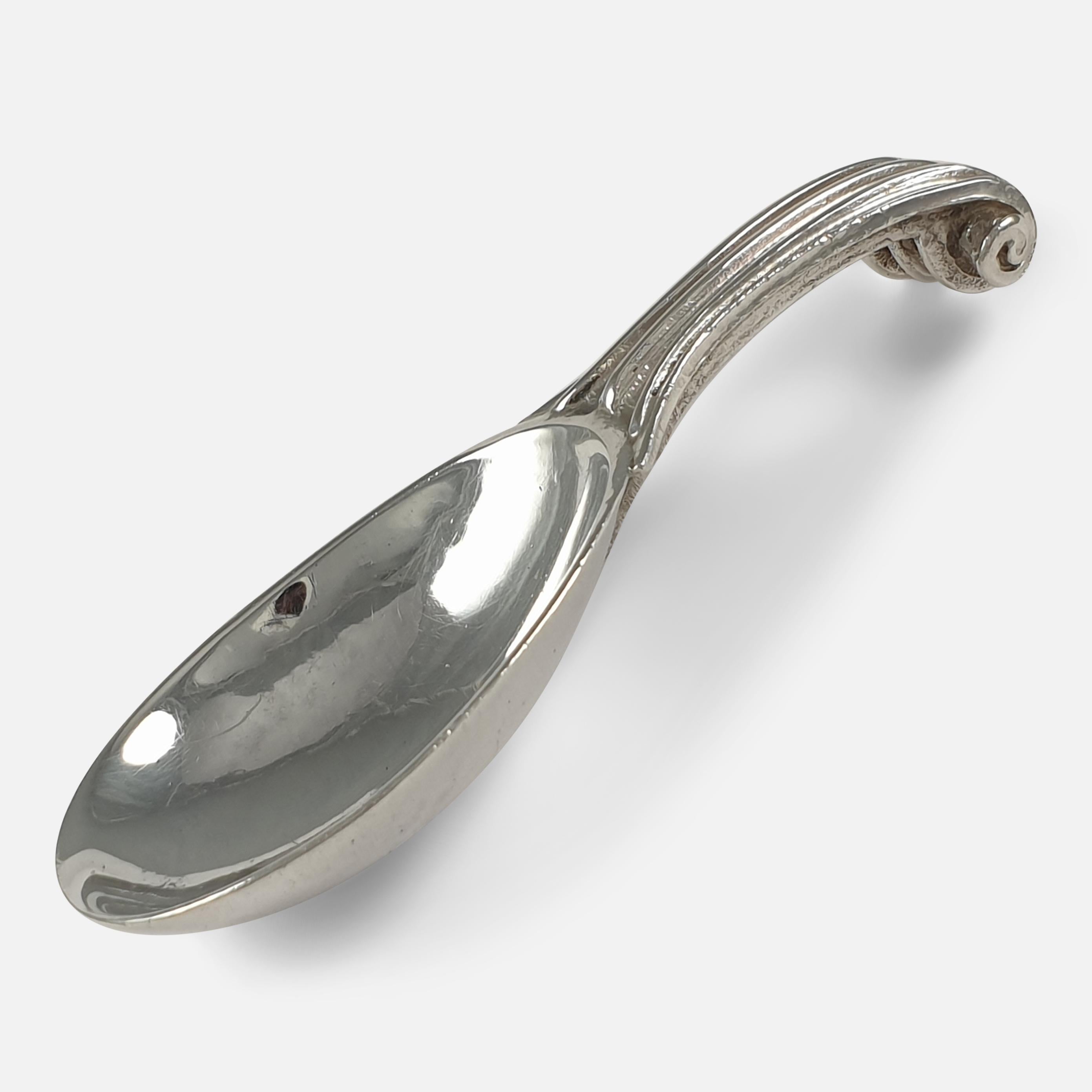 caddy spoon silver