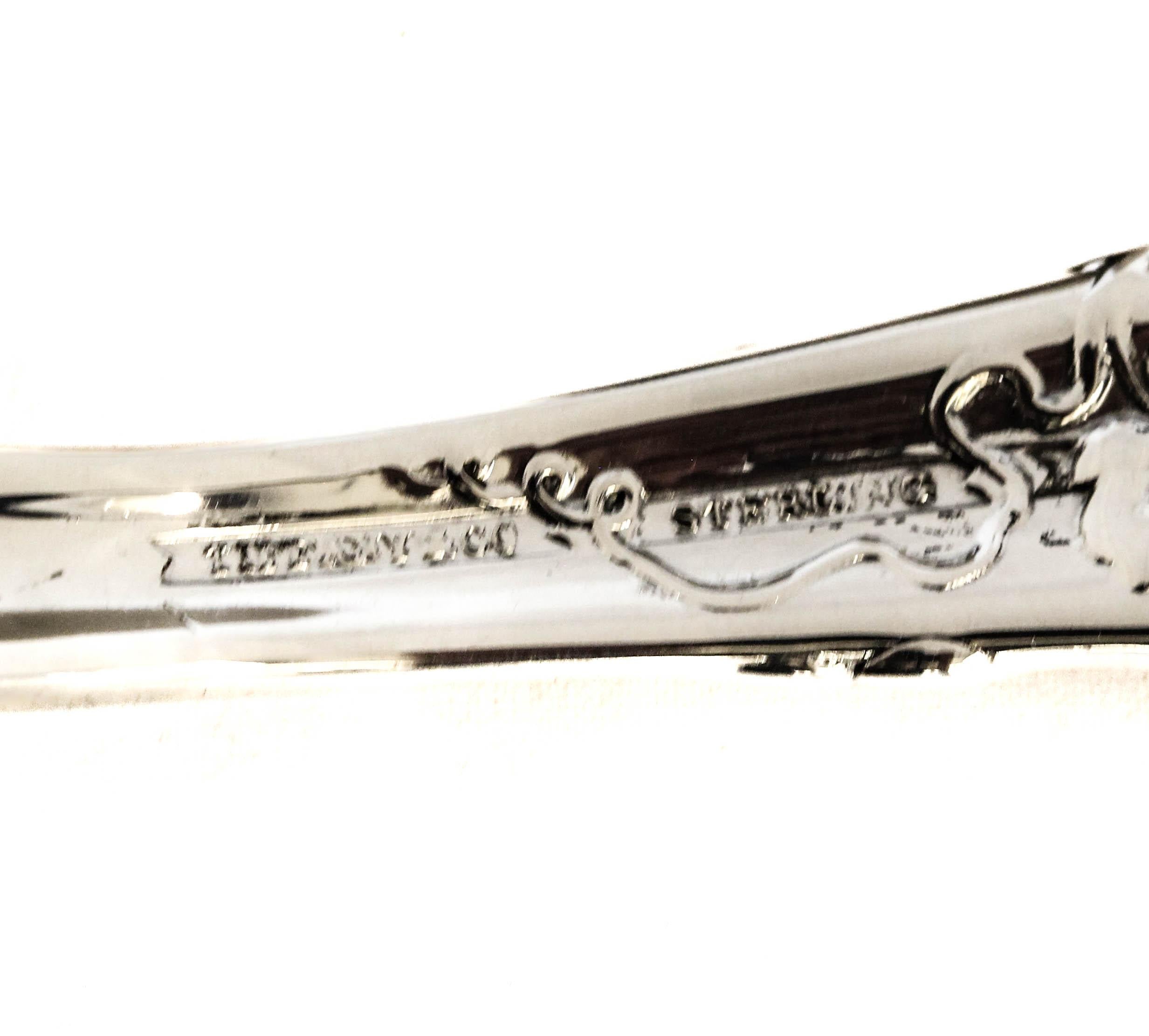 Sterling Silver Tiffany & CO Spoon and Fork Set For Sale 3