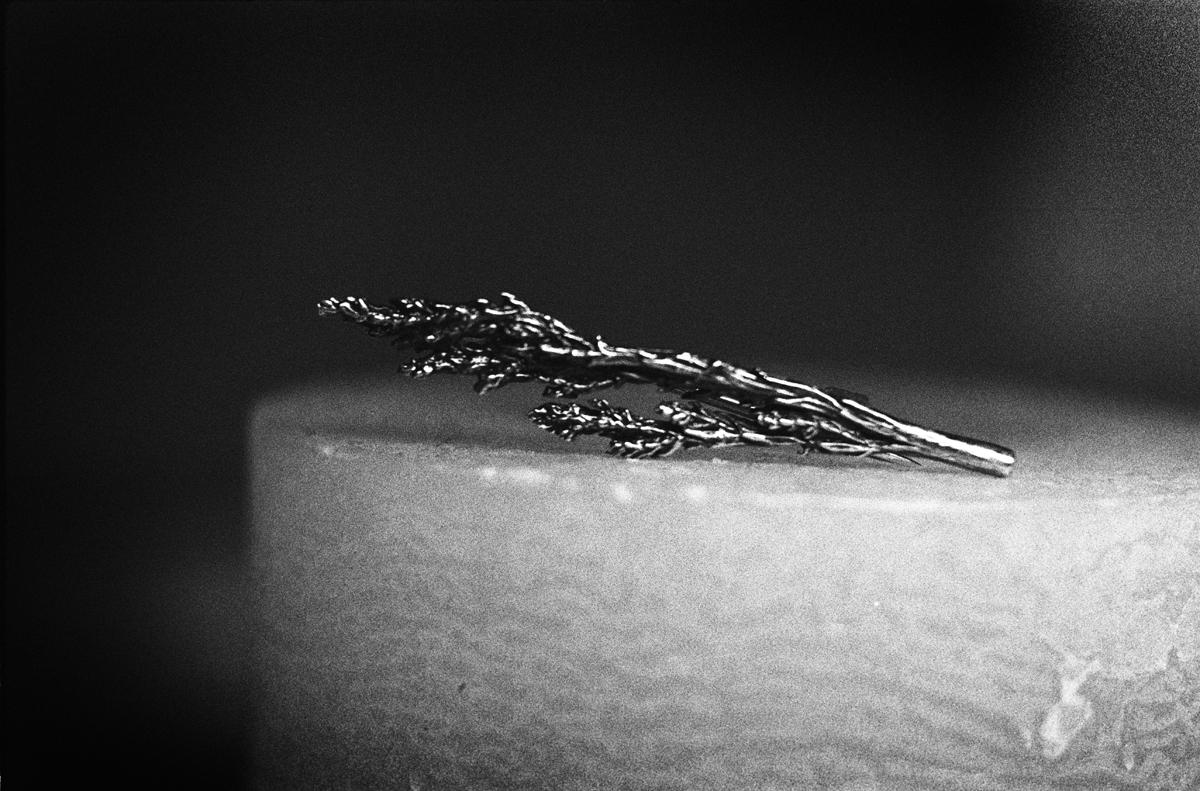 Women's or Men's Sterling Silver Winter Garden Juniper Contemporary Brooch by the Artist For Sale