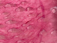 Steuben Gold Ruby Cluthra Glass Vase, Signed.