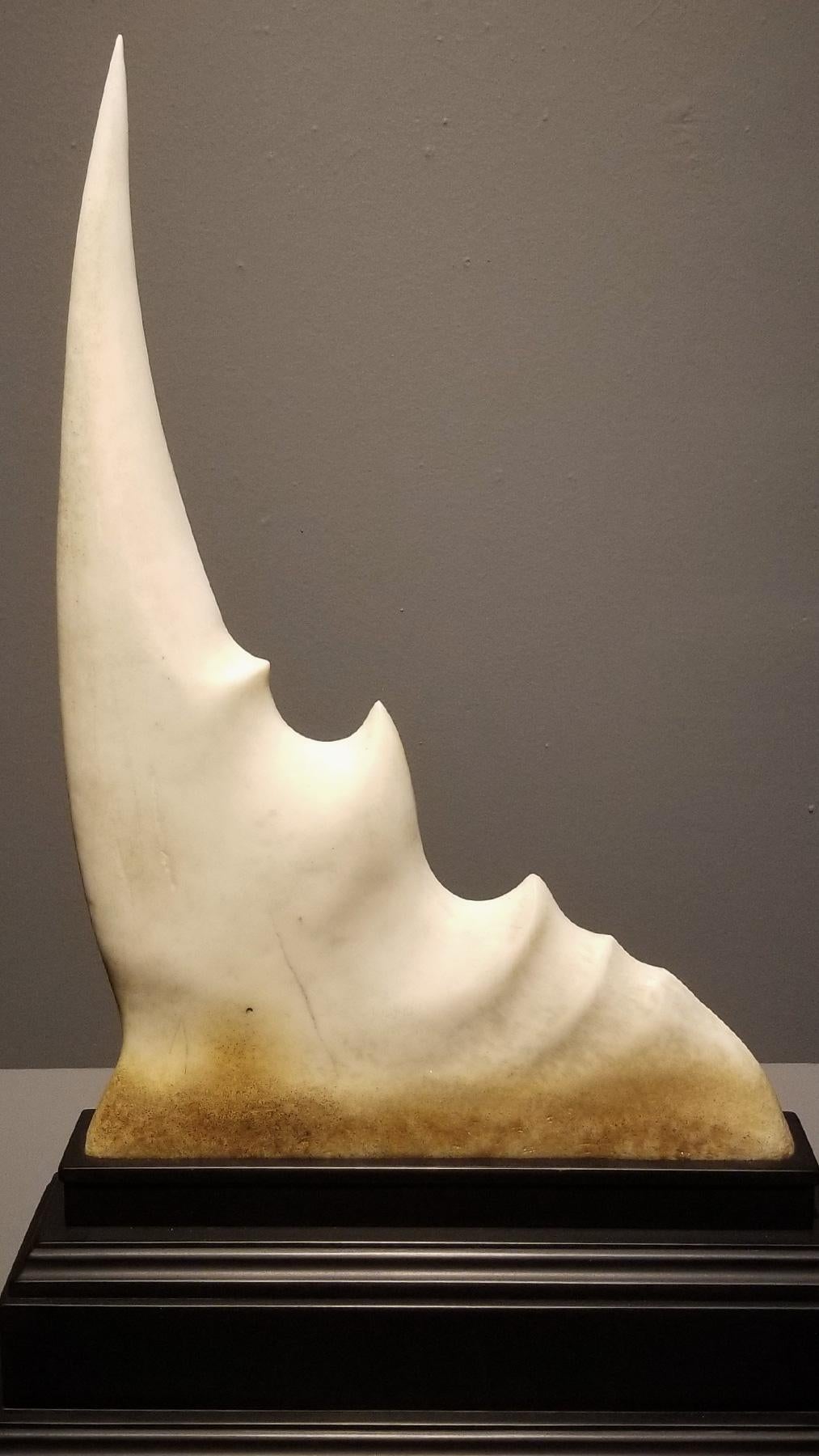 Tusk of the Solipsisaur de Steve Brudniak, étude d'assemblage surréaliste en vente 3
