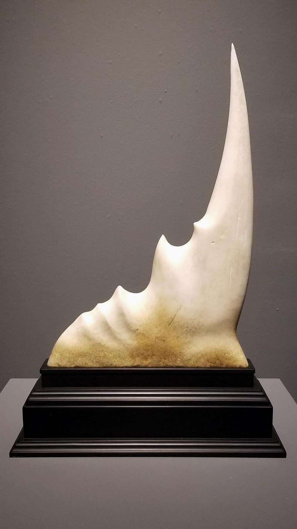 An original sculpture by Austin, TX based artist Steve Brudniak.

STEVE BRUDNIAK
Tusk of the Solipsisaur (Study for Ontological Catastrophe), 2019
Carved and treated ABS and phenolic plastic
21 x 15 x 5 in

Steve Brudniak is an American contemporary