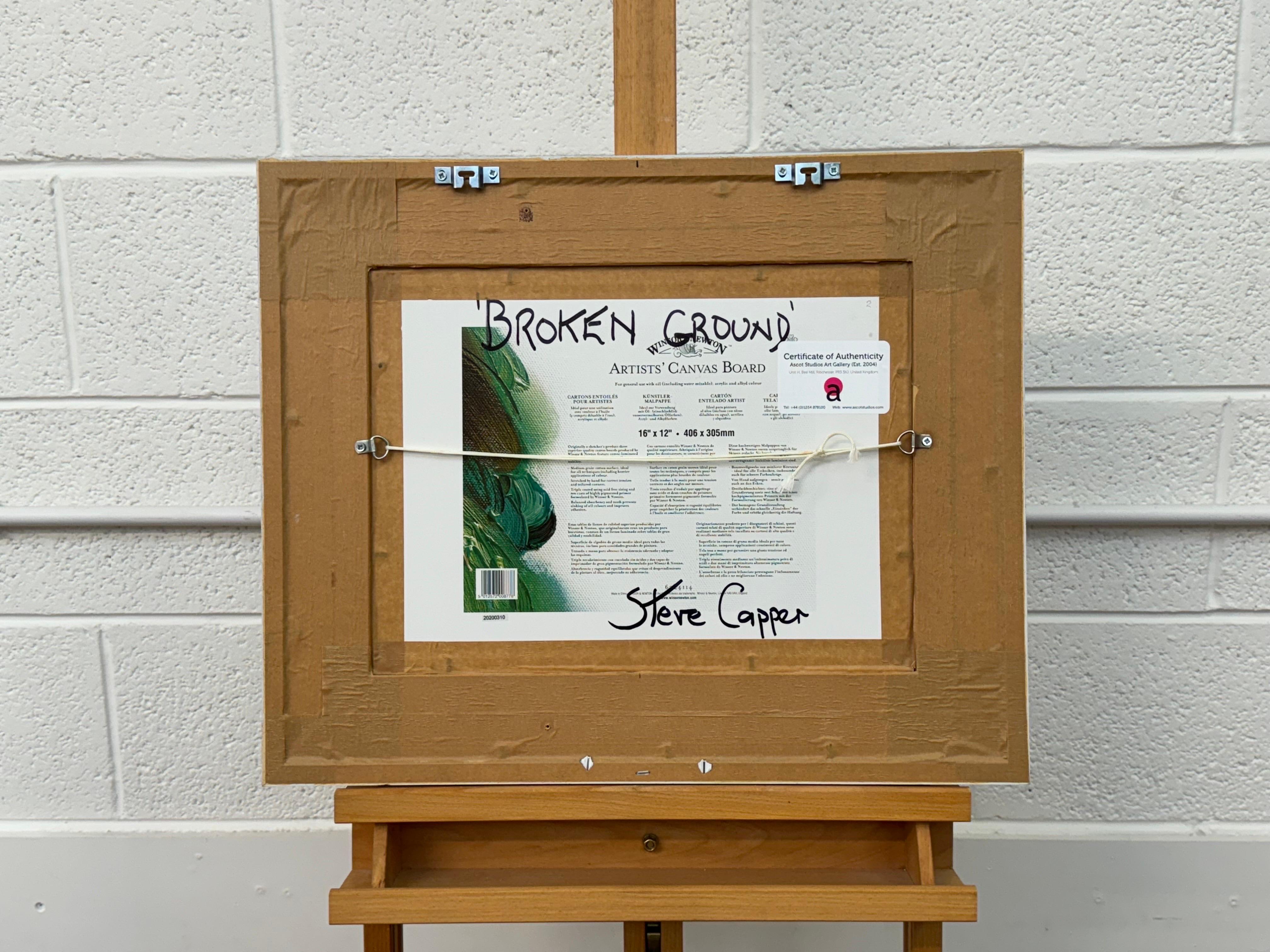 Quadro di paesaggio astratto intitolato Broken Ground dell'artista britannico fauvista Steve Capper

L'arte misura 16 x 12 pollici 
La cornice misura 24 x 20 pollici (circa) 

Presentato in una cornice di legno bianco 

Steve Capper ha frequentato