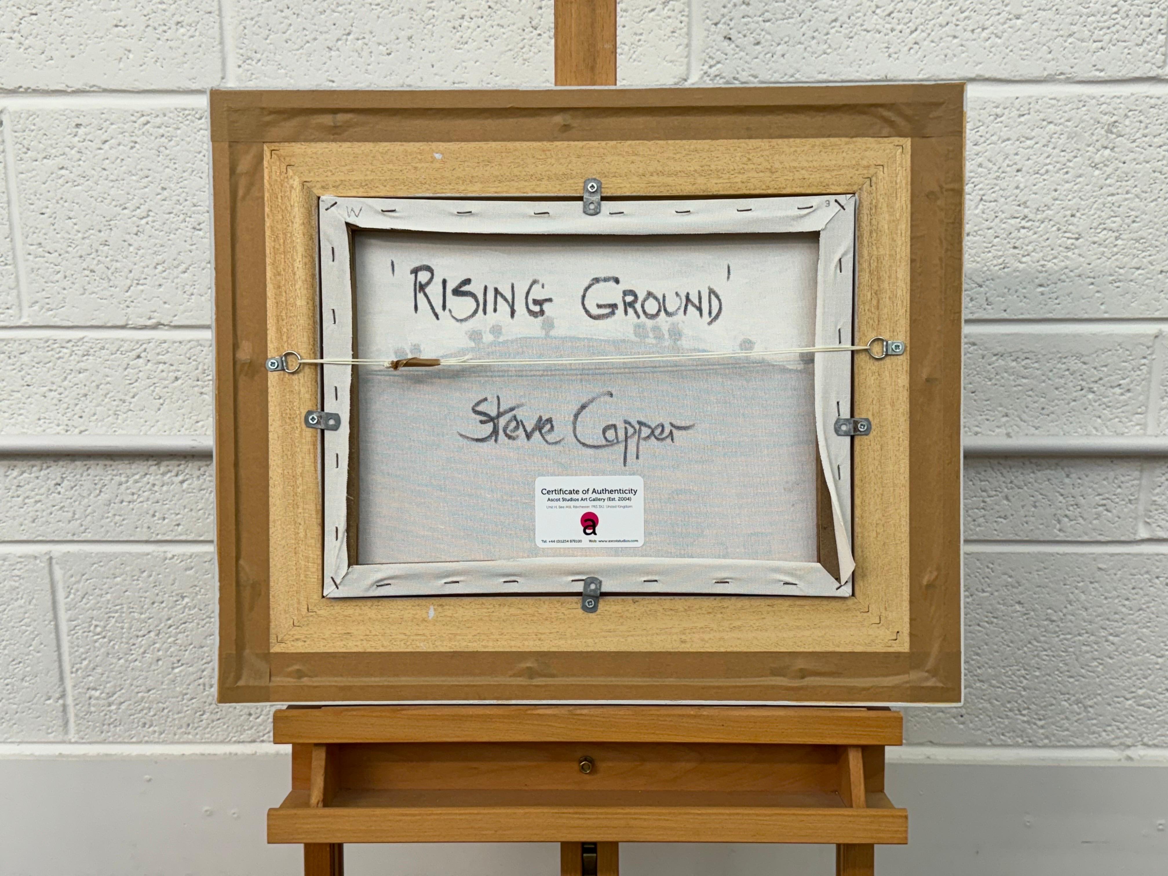 Paisaje abstracto titulado Rising Ground del artista fauvista británico Steve Capper 

El arte mide 16 x 12 pulgadas 
El marco mide 24 x 20 pulgadas (aprox.) 

Presentado en una moldura de madera blanca 

Steve Capper asistió a la Escuela Superior