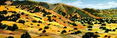 Paisaje horizontal Pintura al óleo sobre tabla, enmarcado, tonos tierra, Steve Cope