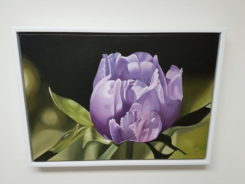 In Spite of it All - Mauve Peony Flower (Framed): Oil on Canvas - Black Landscape Painting by Steve Foster