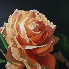Orange Sorbet - peinture à l'huile contemporaine hyperréaliste fleur orange rose