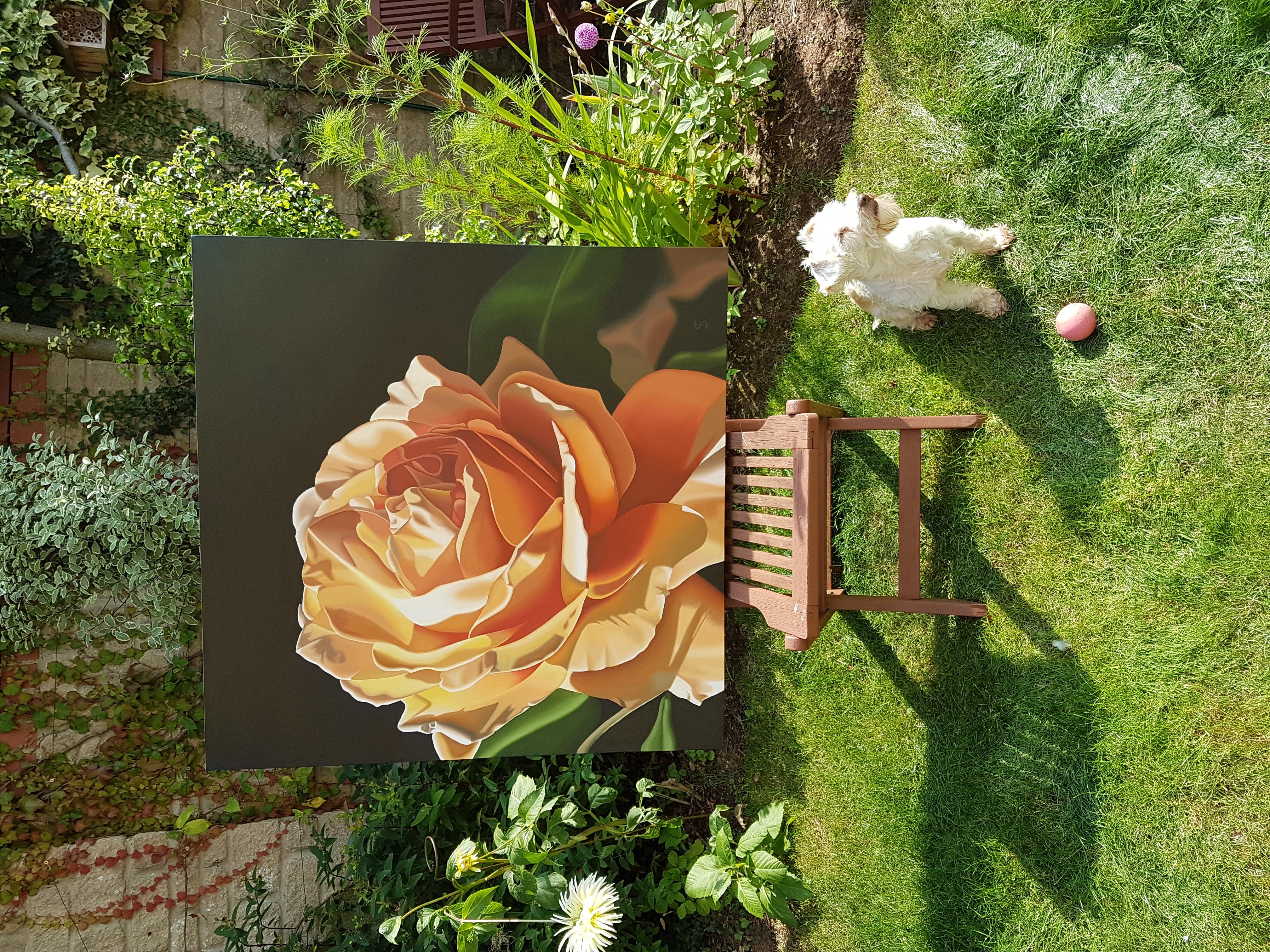 Orange Sorbet - contemporary hyperrealistic flower orange rose oil painting For Sale 1
