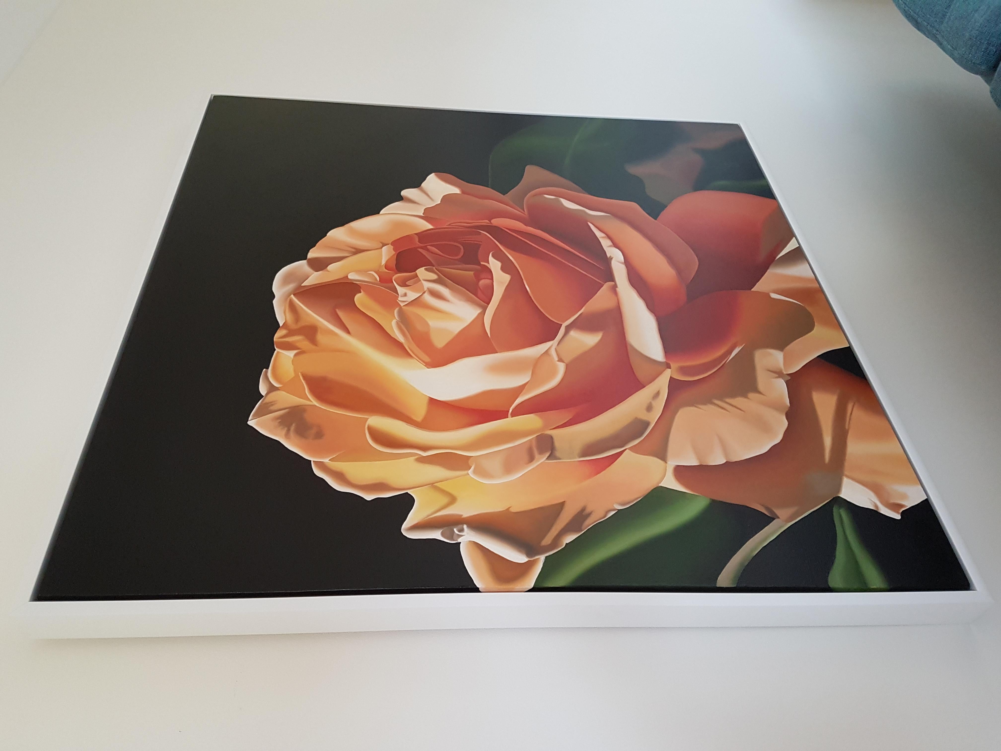 Orange Sorbet - contemporary hyperrealistic flower orange rose oil painting For Sale 3