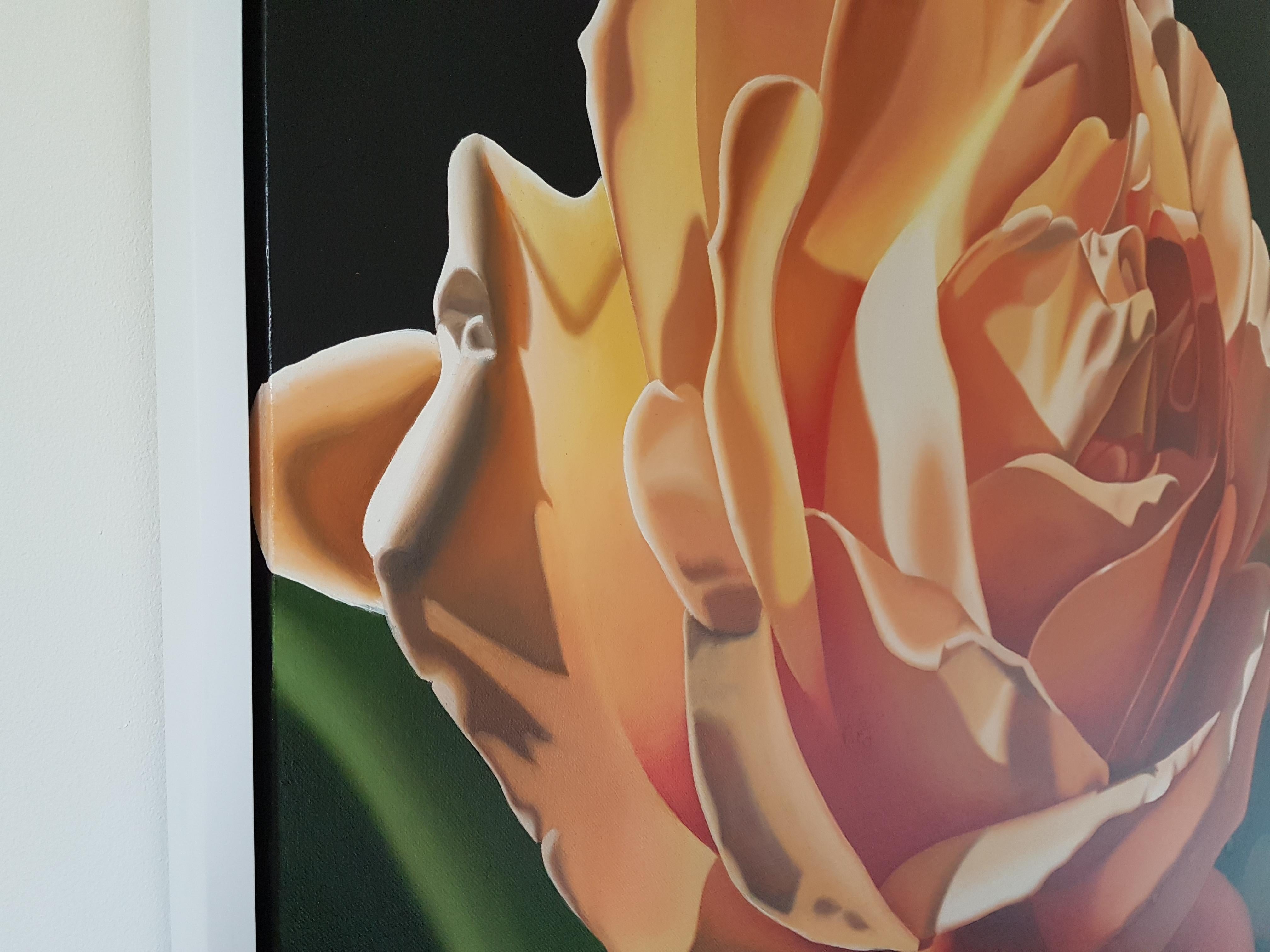 Orange Sorbet - contemporary hyperrealistic flower orange rose oil painting For Sale 5