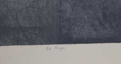 „Sonora“, Lithographie von Steve Gibson aus dem Jahr 1976