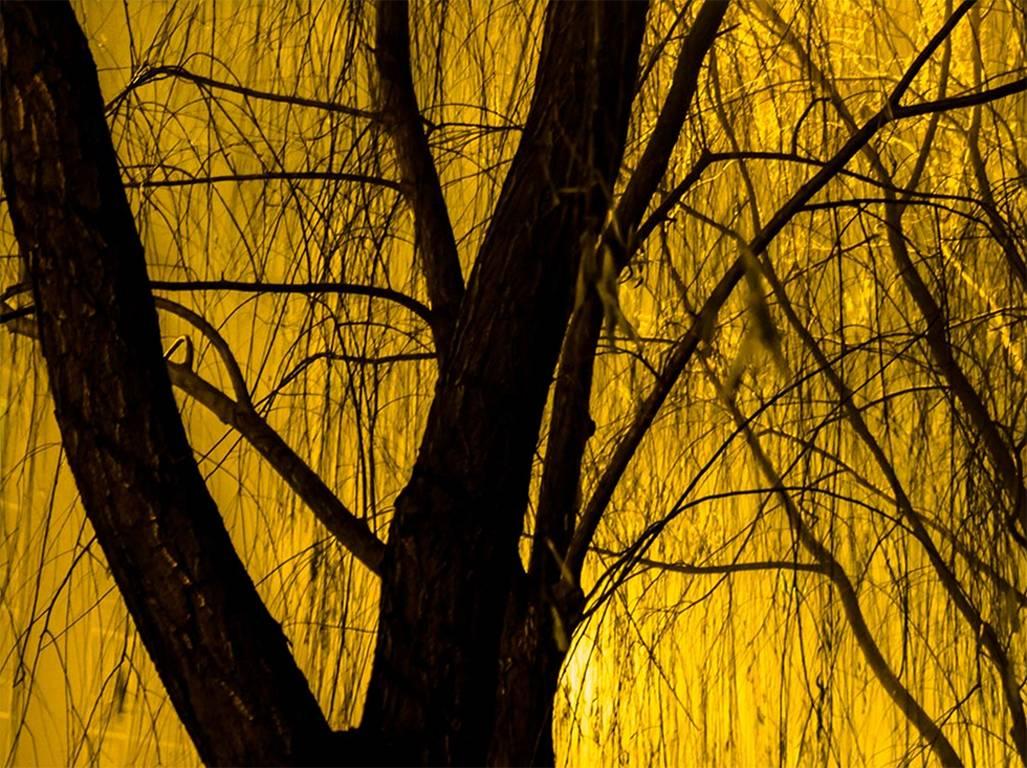 Steve Giovinco Color Photograph - Untitled (Beijing, #5707)