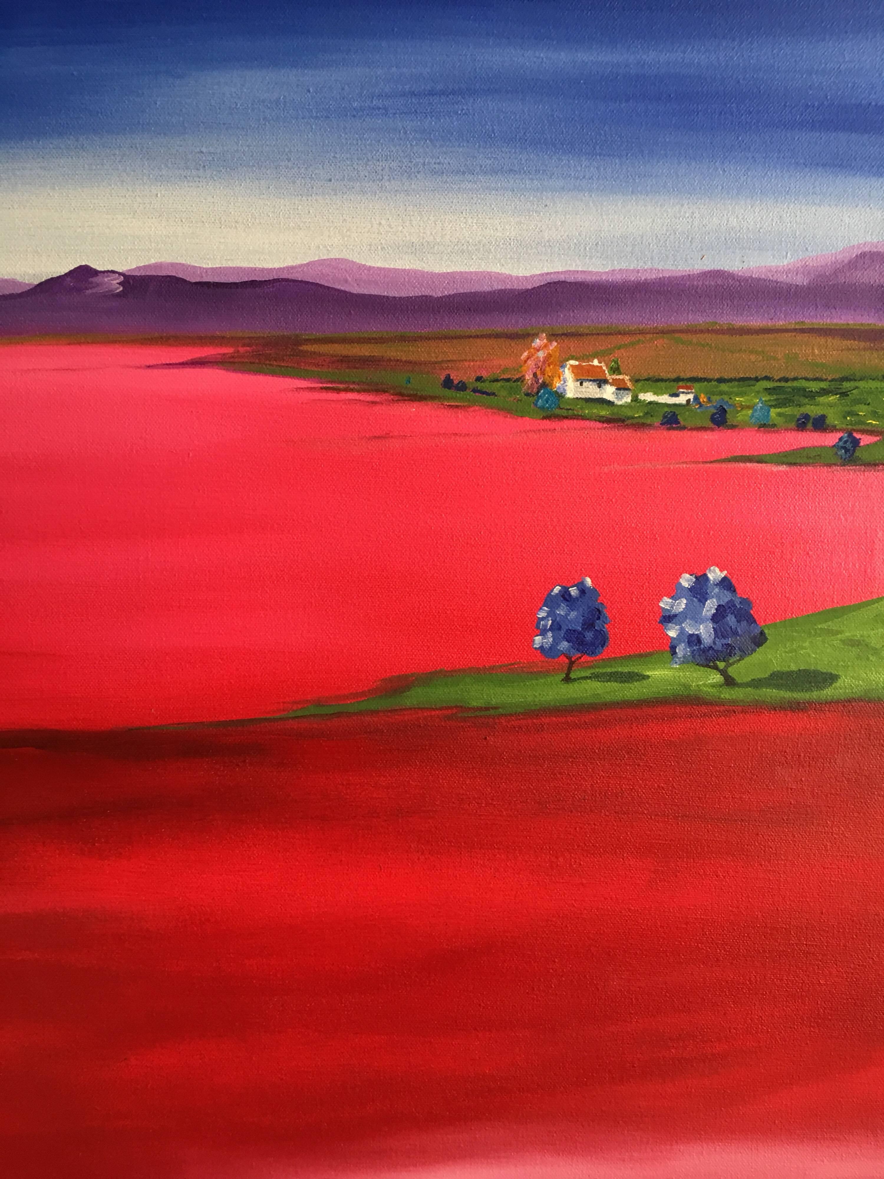 'Summer Fields', Large Spanish Landscape Signed Oil Painting - Red Landscape Painting by Steve Godfrey