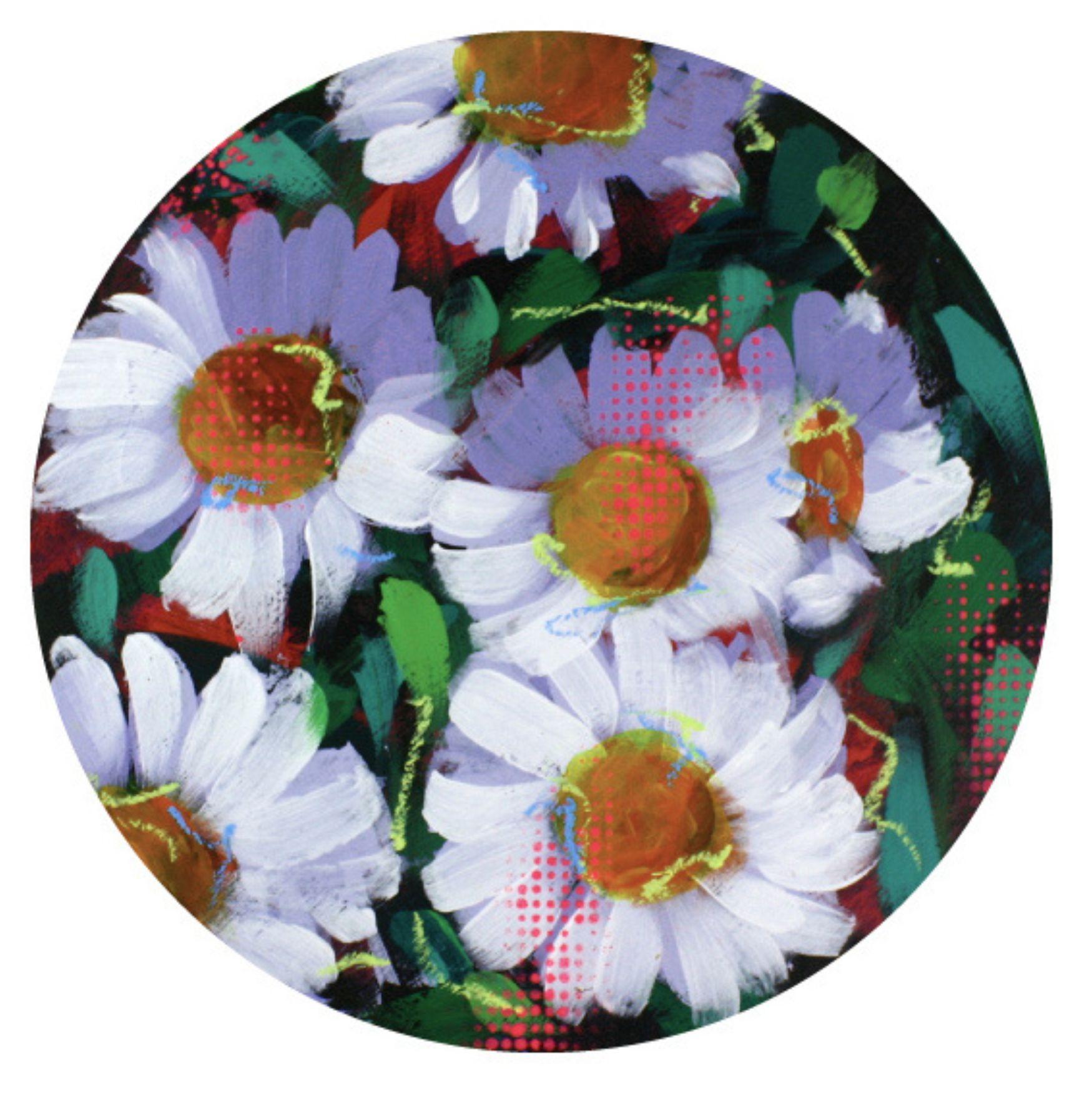 Steve Javiel Still-Life Painting - Round Daisies 01 - Impressionist Daisy Flower Painting