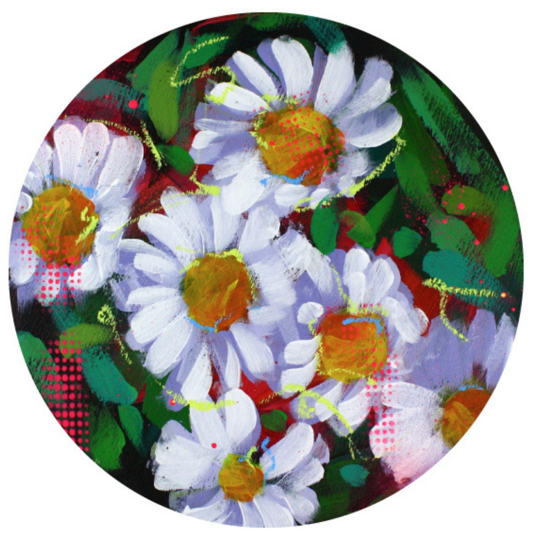 Steve Javiel Still-Life Painting - Round Daisies 02 - Daisies Round Impressionist Painting