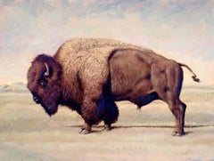 Buffalo Country, Painting, Oil on Canvas