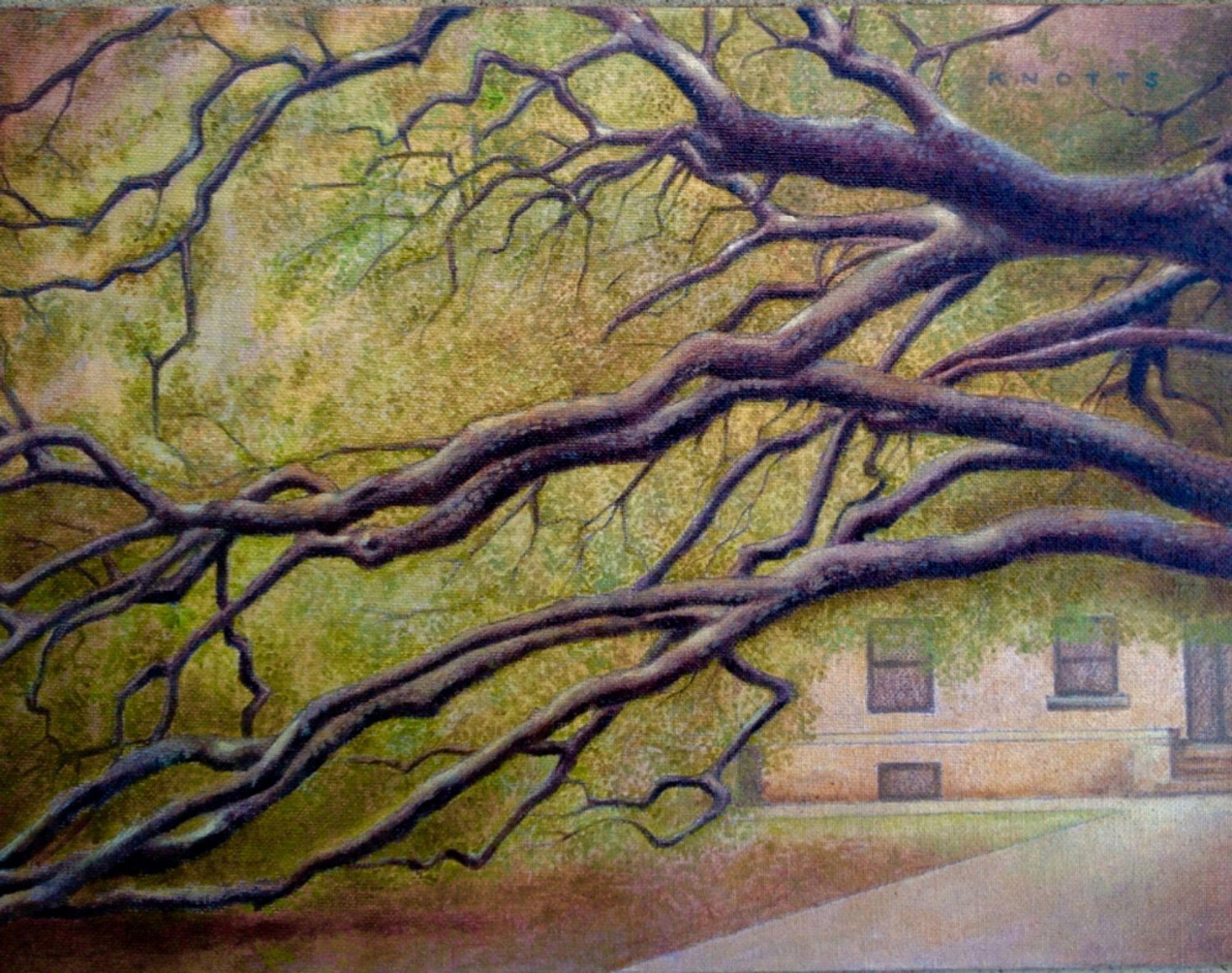 12x16 oil on canvas board paiting of the famous Century Tree on the Texas A&M campus, College Station, Texas :: Painting :: Impressionist :: This piece comes with an official certificate of authenticity signed by the artist :: Ready to Hang: Yes ::