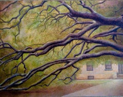 Century Tree, Painting, Oil on Other