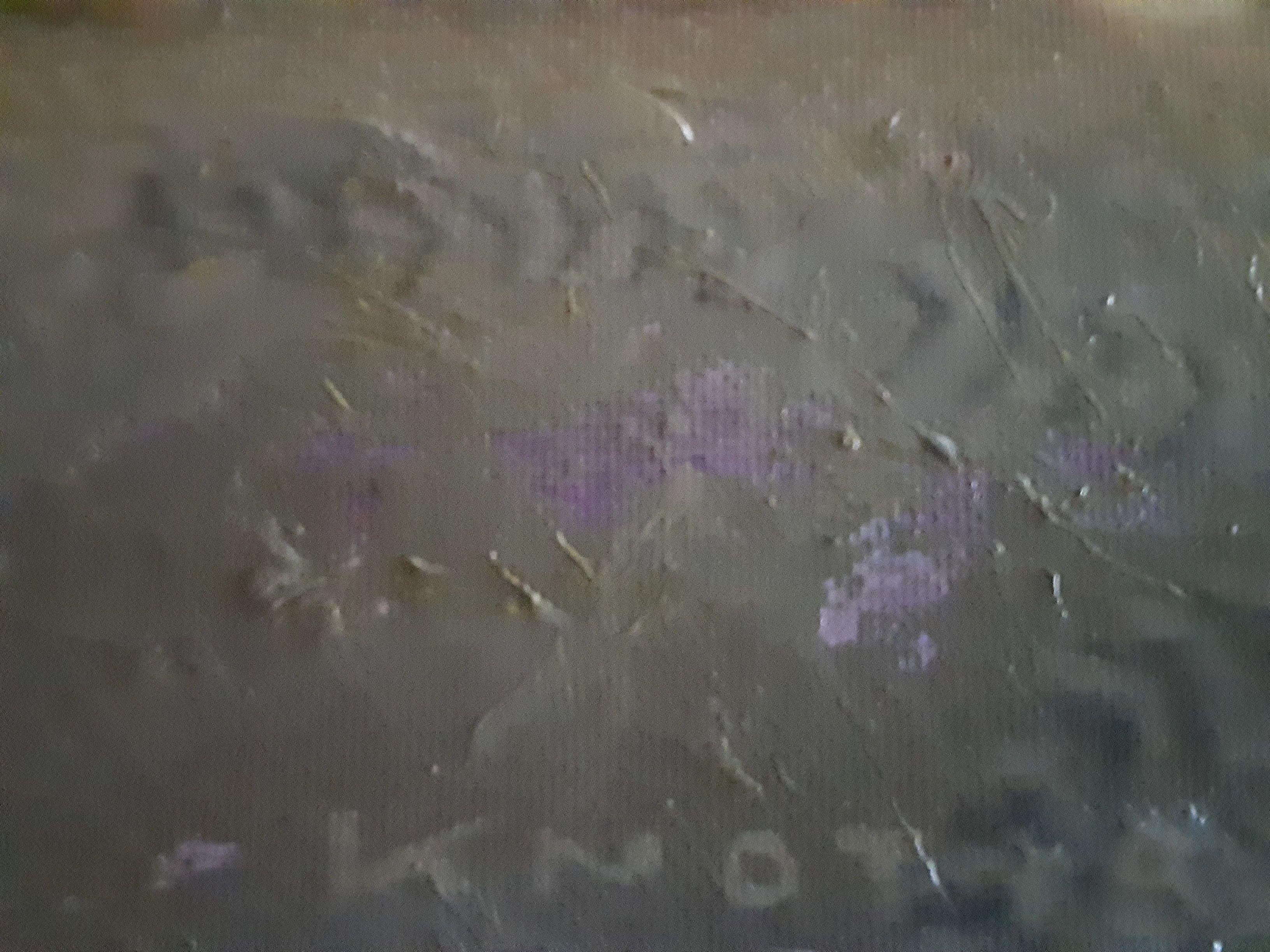 Livellatrice stradale, Pittura, Olio su tela in vendita 1