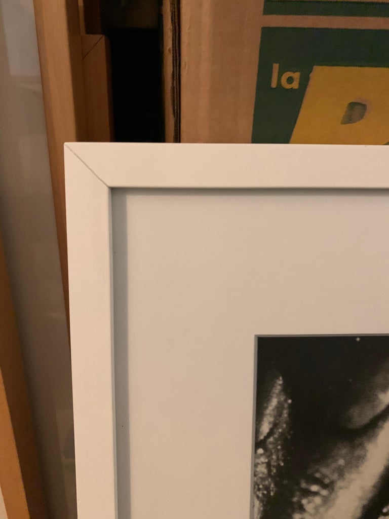 Steve Levine Framed Photography, "Mona" 2 For Sale at 1stDibs