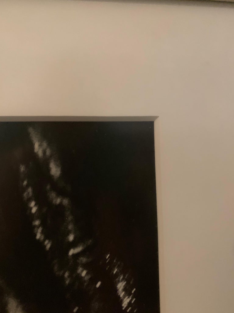 Steve Levine Framed Photography, "Mona" 2 For Sale at 1stDibs