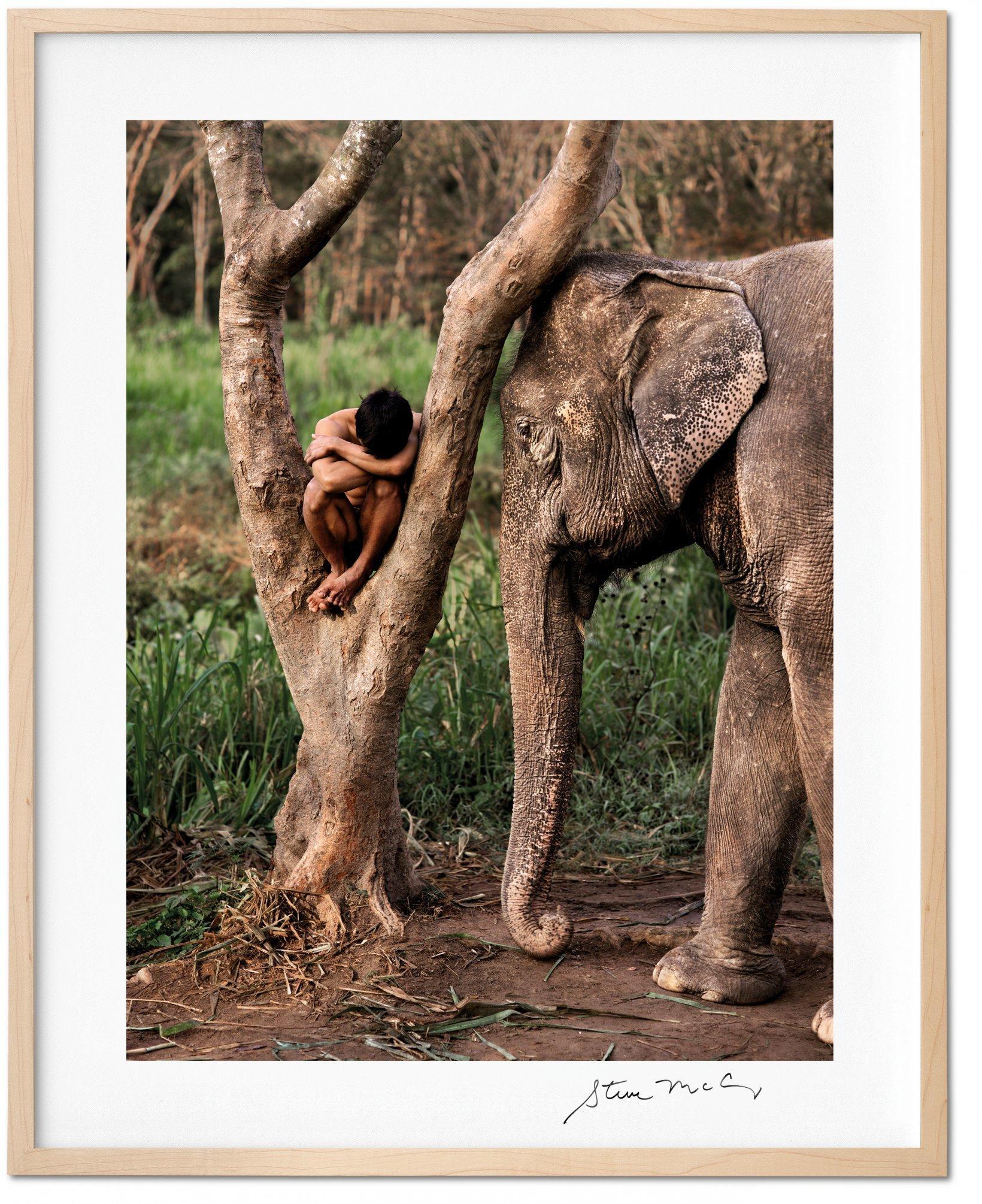 D'un éléphant se reposant affectueusement sur l'épaule de son maître à un chien conduit à travers les décombres de Kaboul à l'arrière d'un vélo, ces images de Steve McCurry racontent un millier d'histoires, chacune étant un hommage touchant aux