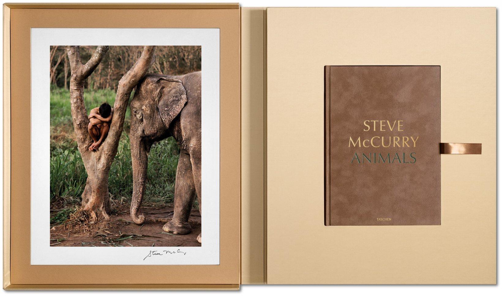 Steve McCurry, Animaux, édition d'art n° 1-100 'Chiang Mai, Thaïlande, 2010' Neuf - En vente à Los Angeles, CA