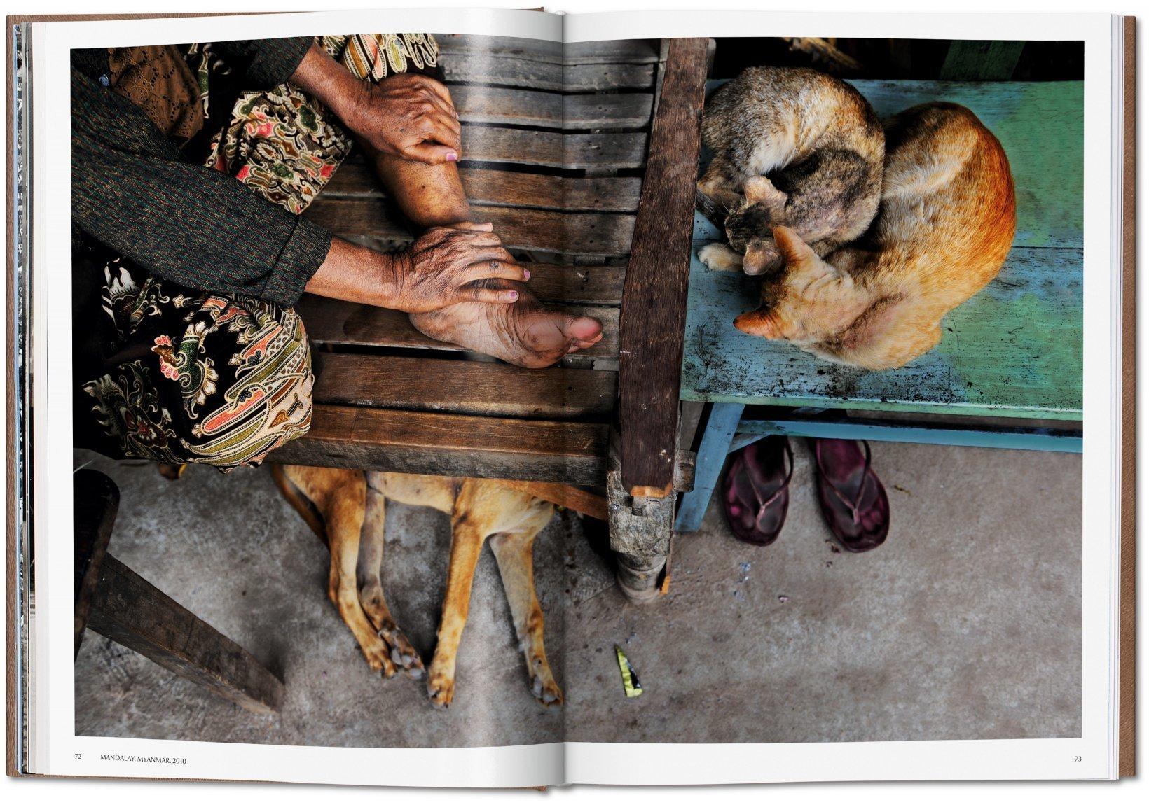 Steve McCurry, Tiere, Kunstausgabe Nr. 1-100 'Chiang Mai, Thailand, 2010'. im Angebot 1