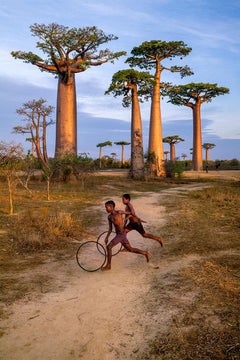 Boys Play with Hoops - National Geographic, Madagaskar, Kinder, Bäume