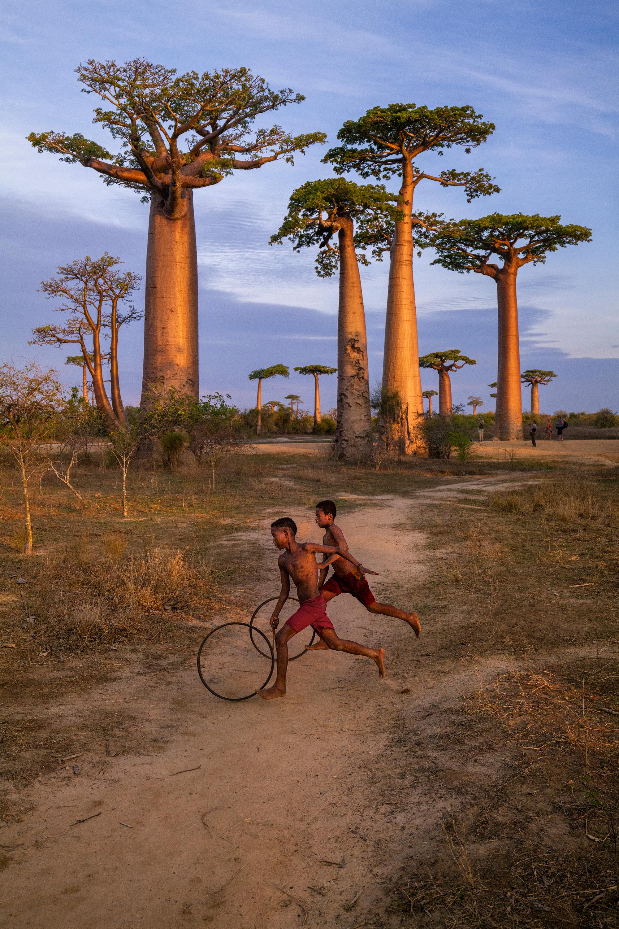 Boys Run With Hoops, Baobab Avenue, Morondava, Madagascar, 2019