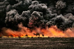 Camel and Oil Fields - National Geographic, Kuwait, Landscape, Fire