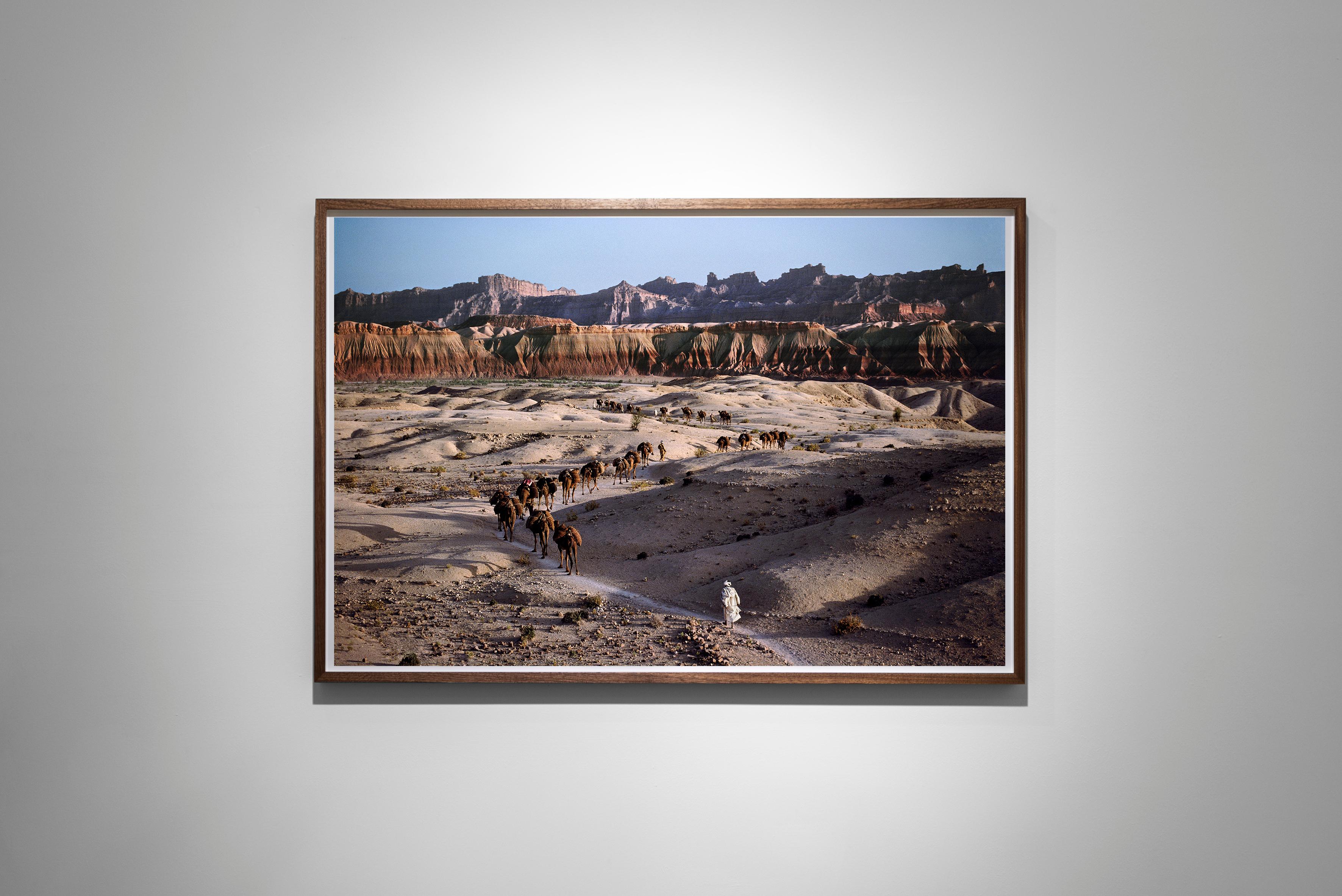 Camel Caravan, Süd Afghanistan, 1980 – Steve McCurry (Farblandschaft) im Angebot 1