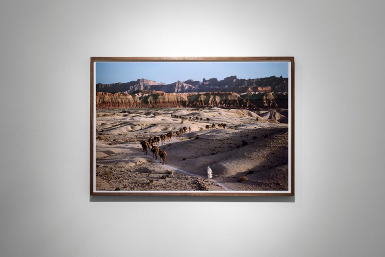Camel Caravan, Southern Afghanistan, 1980 - Steve McCurry (Colour Landscape) For Sale 1