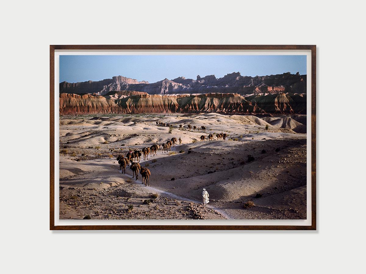 Caravane de chameaux, sud de l'Afghanistan, 1980 - Steve McCurry (Paysage couleur) en vente 1
