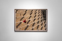 Chand Baori Stepwell, Rajasthan, India, 2016 - Steve McCurry(Colour Photography)