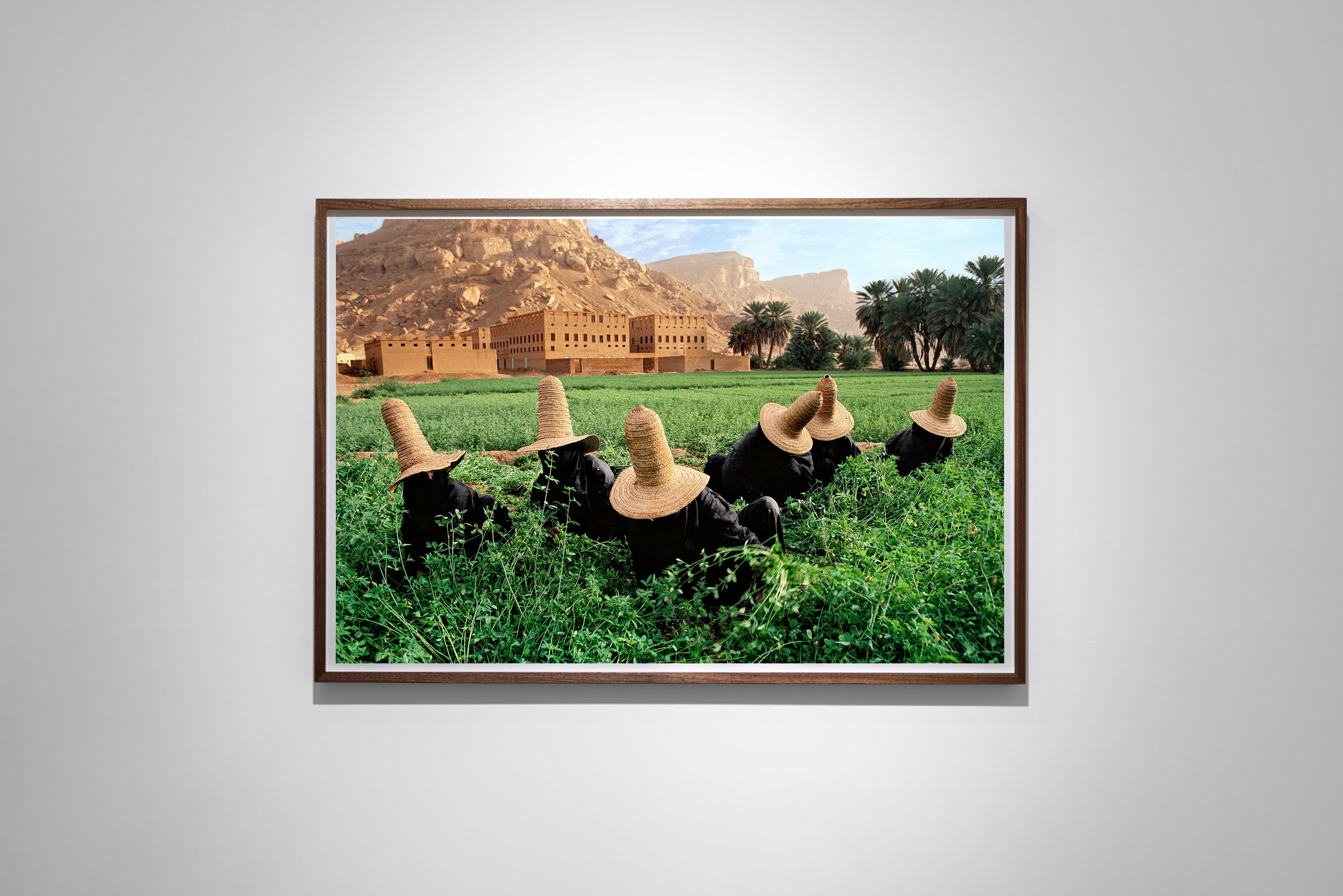 Cueilleurs de trèfle à Wadi Hadramawt, Yémen, 1999 - Steve McCurry en vente 1